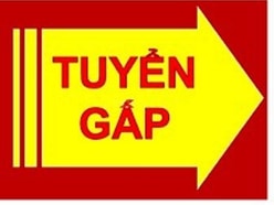 Cần tuyển gấp 1 trợ lý sản xuất biết tiếng Anh hoặc Hoa, tuổi 25-50