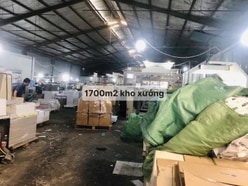 Kho Xưởng 1700m2 Quang Trung P8 Cho Thuê 155tr/th 