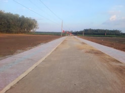 5x46(231m2) có 100m2 Thổ cư Minh Lập, Tx Chơn Thành giá 2xx(x nhỏ xíu)