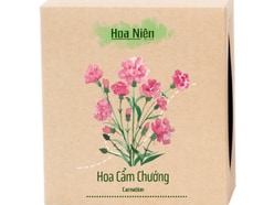 Bộ Kit Hoa Cẩm Chướng Hoa Niên Garden