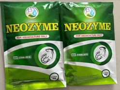 Enzyme tẩy nhớt bạt, giảm tảo, xử lý nước ao nuôi​ - NEOZYME