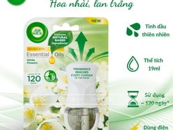 Bộ khuếch tán tinh dầu Air Wick Essential Oils 19ml