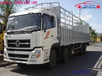Cho thuê xe tải 8 tấn chở hàng giá rẻ Cho thuê xe tải 8 tấn chở hàng giá rẻ