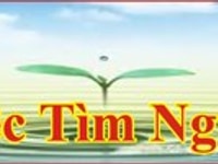 Cần Gấp Nữ Bán Hàng Trang Sức Tại Quận 1 Cần Gấp Nữ Bán Hàng Trang Sức Tại Quận 1