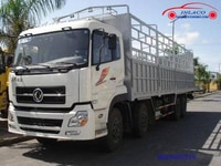 Cho thuê xe tải 1.25 tấn, 2.5 tấn ...11 tấn giá rẻ Cho thuê xe tải 1.25 tấn, 2.5 tấn ...11 tấn giá rẻ