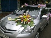 Cho thuê xe tự lái tại q12, gò vấp:kia, civic, vios, for, inova. Cho thuê xe tự lái tại q12, gò vấp:kia, civic, vios, for, inova.