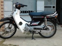 Dream thái biển Hà Nội Dream thái biển Hà Nội
