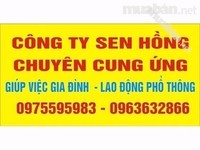 Công ty Sen Hồng chuyên cung ứng Công ty Sen Hồng chuyên cung ứng