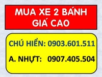 Cần mua xe 2 bánh giá cao BSTP/ BS tỉnh- Cần mua xe 2 bánh giá cao BSTP/ BS tỉnh-