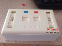 Bộ mặt nạ âm sàn Wallplate AMP 2 cổng,mạng,thoại Bộ mặt nạ âm sàn Wallplate AMP 2 cổng,mạng,thoại