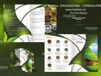 Thiết kế catalogue, thiết kế brochure tại Hà Nội Thiết kế catalogue, thiết kế brochure tại Hà Nội