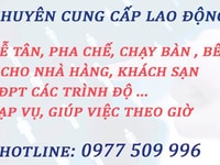Cung ứng nhân viên Pha chế, Lễ tân, Bếp,Chạy bàn ..nhà hàng, khách sạn Cung ứng nhân viên Pha chế, Lễ tân, Bếp,Chạy bàn ..nhà hàng, khách sạn