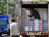 Cần tuyển Lơ Xe, Công nhân sắp xếp hàng hóa cho các siêu thị, kho bãi Cần tuyển Lơ Xe, Công nhân sắp xếp hàng hóa cho các siêu thị, kho bãi