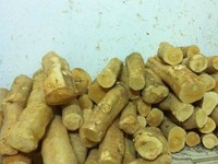Cần tìm đối tác đầu ra Thảo Dược ( Nấm linh chi, Sâm, Mật nhân..) Cần tìm đối tác đầu ra Thảo Dược ( Nấm linh chi, Sâm, Mật nhân..)
