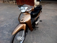 Wave a màu đồng nguyên bản nữ đi Wave a màu đồng nguyên bản nữ đi