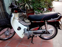 Dream thái biển 29F2-1125 NGUYÊN bản Dream thái biển 29F2-1125 NGUYÊN bản