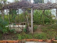 Bán đất diện tích 5x18m, hướng Tây, KDC ven sông Tân Phong, quận 7 Bán đất diện tích 5x18m, hướng Tây, KDC ven sông Tân Phong, quận 7