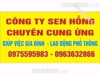Công ty Sen Hồng chuyên cung ứng Công ty Sen Hồng chuyên cung ứng