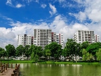 Cho thuê căn hộ chung cư Đất Phương Nam, Đường Chu Văn An Cho thuê căn hộ chung cư Đất Phương Nam, Đường Chu Văn An