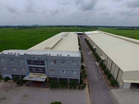 Cần cho thuê xưởng đẹp diện tích từ 5000-30000m2 tại Nam Định Cần cho thuê xưởng đẹp diện tích từ 5000-30000m2 tại Nam Định