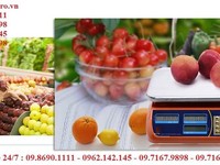 Cân điện tử nhập khẩu chính hãng giá rẻ Cân điện tử nhập khẩu chính hãng giá rẻ