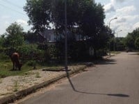 Tôi cần bán lô đất nằm trong KQH Hương Long, Tp Huế Tôi cần bán lô đất nằm trong KQH Hương Long, Tp Huế