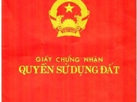 Chính chủ cần bán mảnh đất đấu giá 3300m2 khu Mỹ Đình Chính chủ cần bán mảnh đất đấu giá 3300m2 khu Mỹ Đình