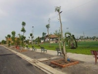 Nợ ngân hàng cần sang gấp lô góc 300m2 đất, sổ hồng Nợ ngân hàng cần sang gấp lô góc 300m2 đất, sổ hồng