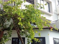 Bán nhà view sông,1 trệt,3 lầu KDC Tân Quy Đông,p.Tân Phong, quận 7 Bán nhà view sông,1 trệt,3 lầu KDC Tân Quy Đông,p.Tân Phong, quận 7