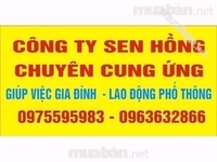 Công Ty Sen Hồng chuyên cung ứng Công Ty Sen Hồng chuyên cung ứng