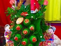 Làm Tráp Dạm Ngõ Tại cưới hỏi trọn gói TIANA Rẻ Đẹp lộng lẫy Làm Tráp Dạm Ngõ Tại cưới hỏi trọn gói TIANA Rẻ Đẹp lộng lẫy