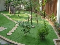 Cỏ Sân Vườn Thanh Lý Giá 150 000 Cỏ Sân Vườn Thanh Lý Giá 150 000