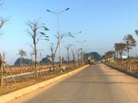 Đất vàng ven biển Đà Nẵng đang nóng với giá cực sốc cho nhà đầu tư Đất vàng ven biển Đà Nẵng đang nóng với giá cực sốc cho nhà đầu tư