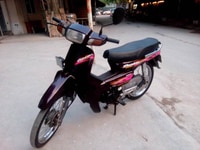 Dream lùn máy chất nguyên bản 99% Dream lùn máy chất nguyên bản 99%