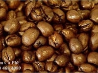 Sản Xuất Cà Phê cao cấp dành cho phân phối khu vực Hồ Chí Minh Sản Xuất Cà Phê cao cấp dành cho phân phối khu vực Hồ Chí Minh
