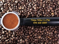 Mời hợp tác kinh doanh Cà Phê Rang Xay Robusta Miền Tây Mời hợp tác kinh doanh Cà Phê Rang Xay Robusta Miền Tây