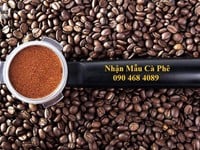 Sản xuất, cung cấp cà phê hạt sạch tìm đối tác phân phối tại Bắc giang Sản xuất, cung cấp cà phê hạt sạch tìm đối tác phân phối tại Bắc giang