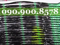 Cần tìm đại lý phân phối lưới che nắng Thái Lan tại Kiên Giang Cần tìm đại lý phân phối lưới che nắng Thái Lan tại Kiên Giang