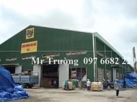 Tấm lợp sinh thái, giải pháp chống nóng cho mái Tấm lợp sinh thái, giải pháp chống nóng cho mái