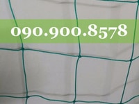 Bán lưới vây sân bóng đá cỏ nhân tạo Bán lưới vây sân bóng đá cỏ nhân tạo
