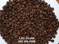 Cà phê hạt robusta nguyên chất rang xay giá xuất xưởng tại Bình Dương Cà phê hạt robusta nguyên chất rang xay giá xuất xưởng tại Bình Dương