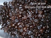 Cà phê hạt Robusta nguyên chất rang mộc pha máy, Espresso giá tốt hcm Cà phê hạt Robusta nguyên chất rang mộc pha máy, Espresso giá tốt hcm