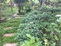 Bán đất làm kho, nhà xưởng xã Vĩnh Phương 8185m2 Bán đất làm kho, nhà xưởng xã Vĩnh Phương 8185m2