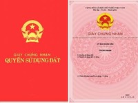 Tôi Có 2 lô đất trong khu đô thị Hà Phong, Mê Linh, Hà Nội Tôi Có 2 lô đất trong khu đô thị Hà Phong, Mê Linh, Hà Nội