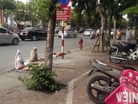 Bán nhà mặt phố Trần Phú, quận Hà Đông 135m, Mt 7.5m, vị trí đẹp nhất Bán nhà mặt phố Trần Phú, quận Hà Đông 135m, Mt 7.5m, vị trí đẹp nhất