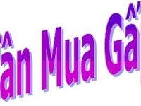 Cần mua gấp liền kề Biệt thự Khu đô thị mới Hà Phong – Mê Linh Cần mua gấp liền kề Biệt thự Khu đô thị mới Hà Phong – Mê Linh