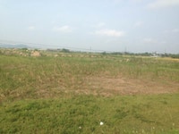 Cần chuyển nhượng đất công nghiệp huyện Vĩnh Bảo 3600m2 và 6000m2 Cần chuyển nhượng đất công nghiệp huyện Vĩnh Bảo 3600m2 và 6000m2