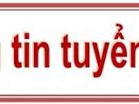 Cần tuyển thêm nhân viên bán hàng tại chỗ Cần tuyển thêm nhân viên bán hàng tại chỗ