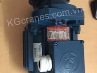 Động cơ di chuyển cầu trục - Công ty Cầu trục HNC Động cơ di chuyển cầu trục - Công ty Cầu trục HNC
