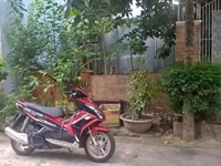 Bán nhà hẻm 303/ Tân Sơn Nhì, Dt 4 x 20, đất , giá 4,3 tỷ Bán nhà hẻm 303/ Tân Sơn Nhì, Dt 4 x 20, đất , giá 4,3 tỷ
